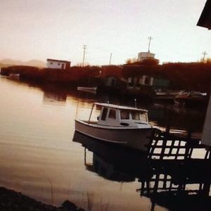 Meet your Posher, Delphine